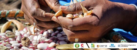 Projeto “Práticas agroecológicas resilientes e comercialização participativa como instrumento de nutrição escolar e de segurança comunitária para as populações rurais das ilhas de Santo Antão e Fogo” é encerrado na cidade da Praia
